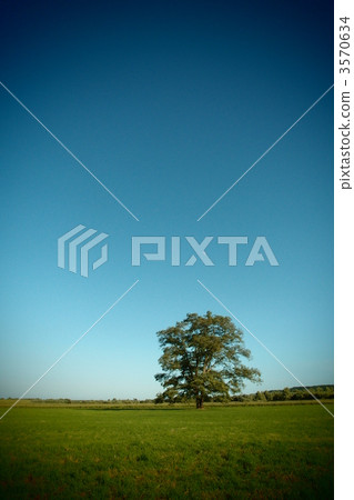 再春 再春 3570634