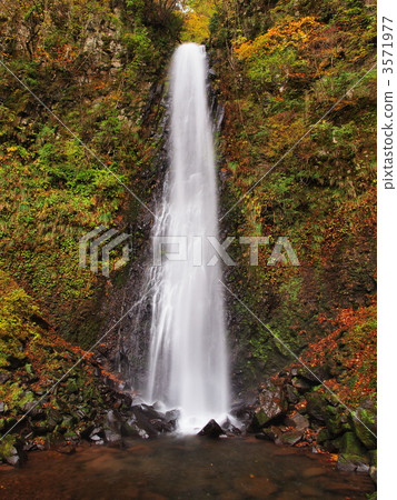 秋葉雨落 3571977