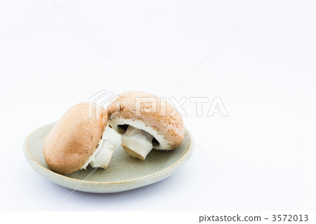 棕色蘑菇 棕色蘑菇 3572013
