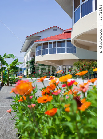 flowered bed near hotel on resort in afternoon flowered bed near hotel on resort in afternoon 3572163