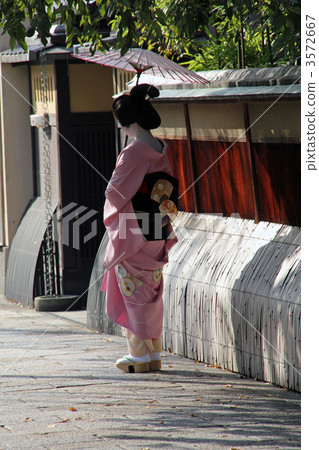 年輕的藝妓 背影 日本傘 3572667