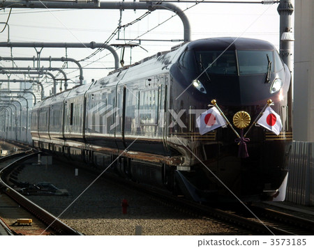 Calling train Nagomi E655 series Higashi-Koganei station Gifts forest 100th anniversary commemoration event 3573185