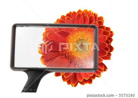 flower through magnifier 3573193