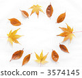 落葉圈 3574145