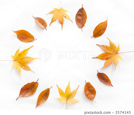 落葉圈 3574145