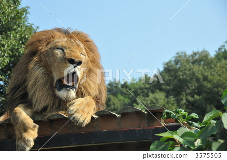 I hope she sleeps twice in the morning I hope she sleeps twice in the morning 3575505