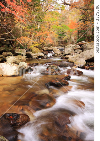 Autumn reed Tsu valley 3575506