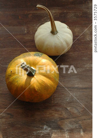 Yellow Pumpkin White Pumpkin Yellow Pumpkin White Pumpkin 3575729