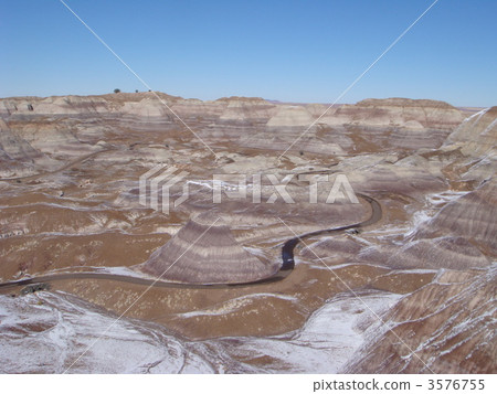 Fossil forest Fossil forest 3576755