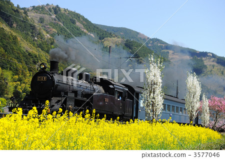 Rape flowers and steam locomotives Rape flowers and steam locomotives 3577046