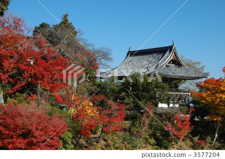 京都Zentsuji秋葉 3577204