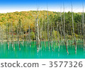 blue pond, aoiike, cobalt blue 3577326
