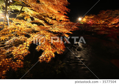 Nakano Momiji山的秋葉照亮了 3577504