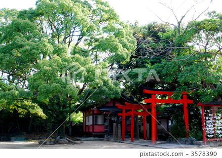 鳥居 鳥居 3578390