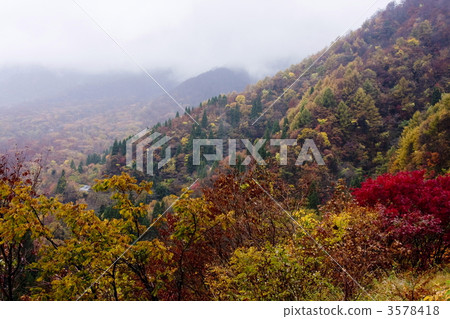 Autumn leaves of Oku Oyama Autumn leaves of Oku Oyama 3578418
