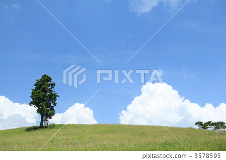 表面樹農場夏天 3578595