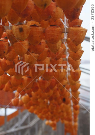 dried persimmons on skewer, dried persimmons, japanese persimmon 3578596