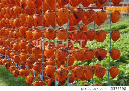 dried persimmons on skewer, dried persimmons, japanese persimmon 3578598
