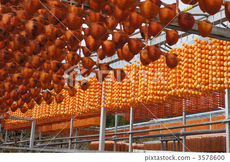 dried persimmons on skewer, dried persimmons, japanese persimmon 3578600