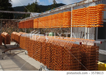 柿子 柿餅烤串 柿餅 3578613