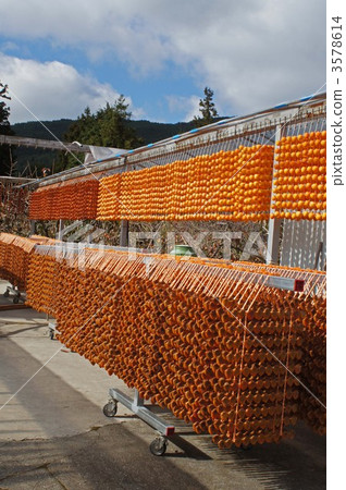 dried persimmons on skewer, dried persimmons, kaki 3578614