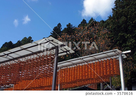 柿餅烤串 柿餅 果脯 3578616