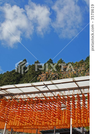 dried persimmons on skewer, dried persimmons, kaki 3578619