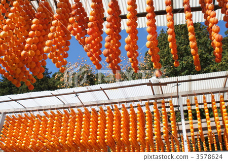 柿子 柿餅烤串 柿餅 3578624