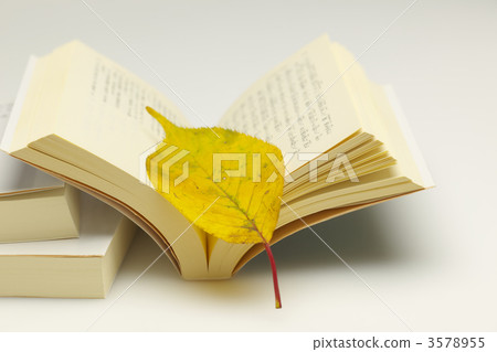 Fall of reading 3578955