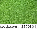 草坪 3579504