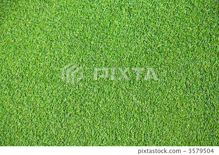 草坪 草坪 3579504