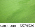 草坪 3579520