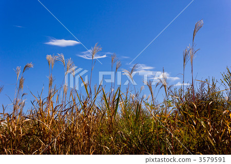 autumn sky  autumn sky  3579591