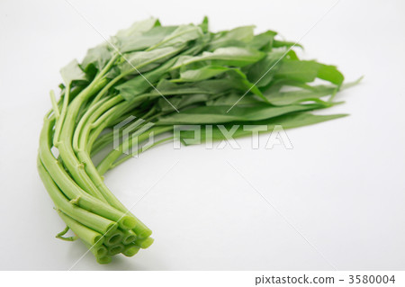 Kuushinsai Kuushinsai 3580004