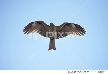 Battle rides and flying sky 3580095