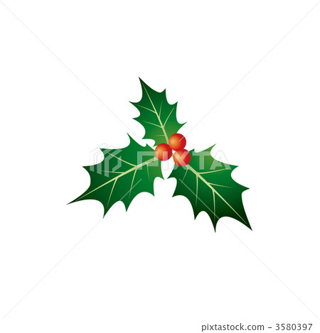 Hiiragi的葉子例證 Hiiragi的葉子例證 3580397