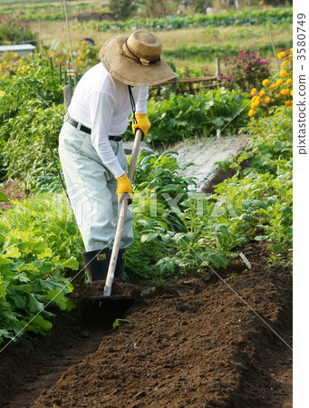 在田野工作的人 3580749