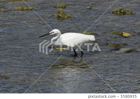 宮古島的小崎 3580935