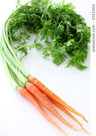 Gold carrot Gold carrot 3581003