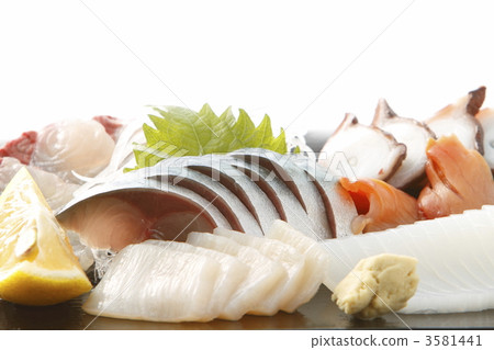 紅蛤 赤貝 鯖魚 3581441