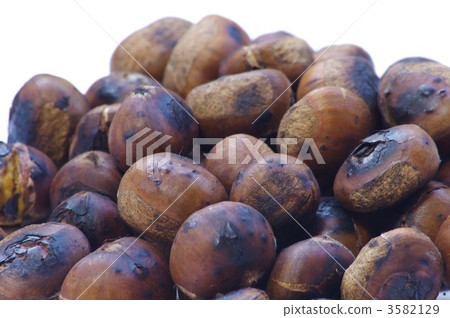 Baked chestnut 3582129