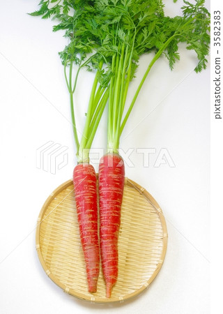 Golden ginseng Golden ginseng 3582383