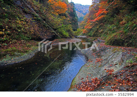 The autumnal leeway valley The autumnal leeway valley 3582994