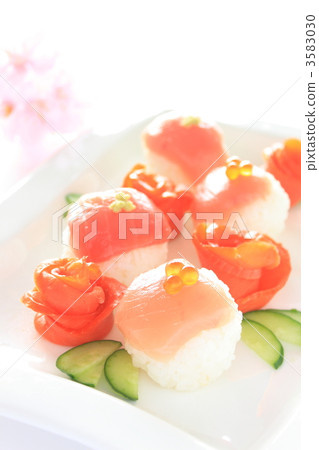 Japanese Sushi Tamari Sushi Spring 3583030