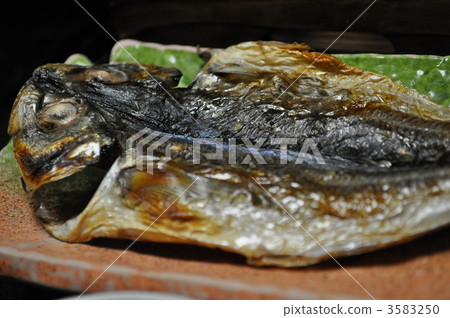 horse mackerel cut open and dried, laundry for drying, broiled dish 3583250