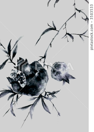 pomegranate, pomegranates, ink painting 3583533