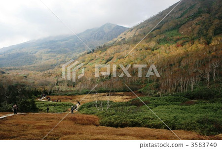 Tsugaike Plateau徒步旅行 3583740