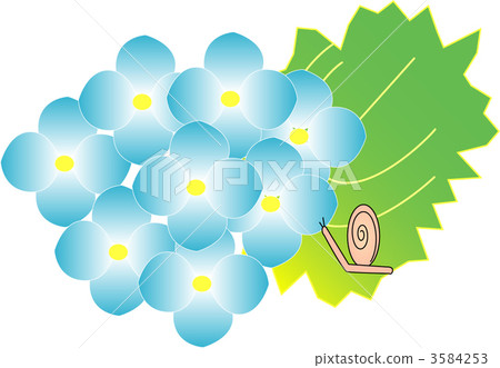 繡球花 綠葉 數碼成像圖片 3584253