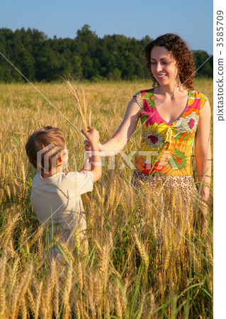 Mother gives ears in wheaten field to child Mother gives ears in wheaten field to child 3585709
