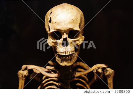 Bone Bone 3589800